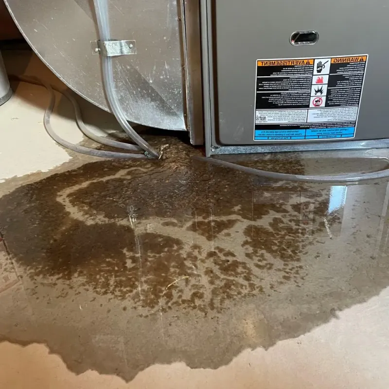 Pipe Burst and Leak Restoration in Pawnee City, NE